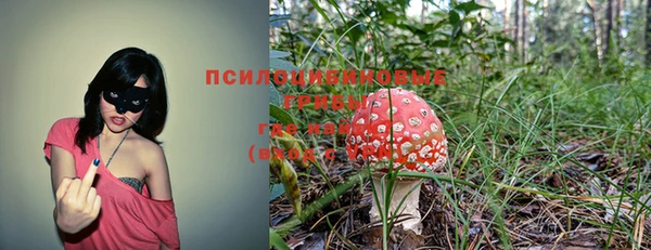марихуана Беломорск